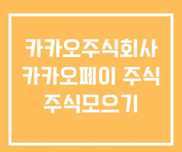 카카오주식회사 카카오페이 주식 주식모으기 카카오주식회사 카카오페이 주식 주식모으기