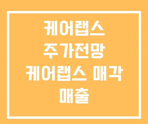 케어랩스 주가전망 케어랩스 매각 매출 케어랩스 주가전망 케어랩스 매각 매출