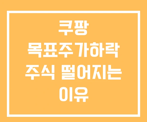 쿠팡 목표주가하락 주식 떨어지는 이유 쿠팡 목표주가하락 주식 떨어지는 이유