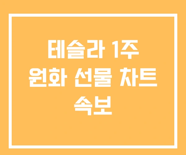 테슬라 1주 원화 선물 차트 속보