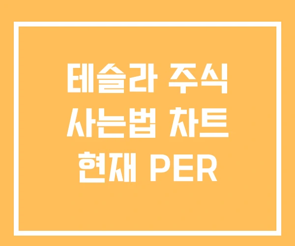 테슬라 주식 사는법 차트 현재 PER