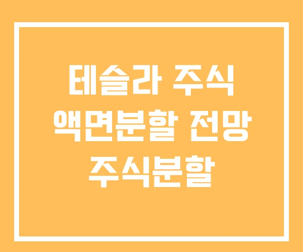 테슬라 주식 액면분할 전망 주식분할