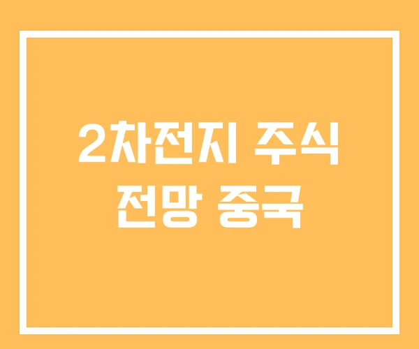 2차전지 주식 전망 중국