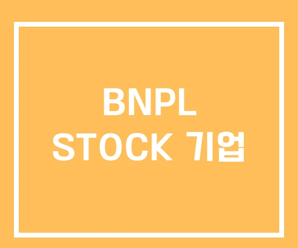 BNPL STOCK 기업