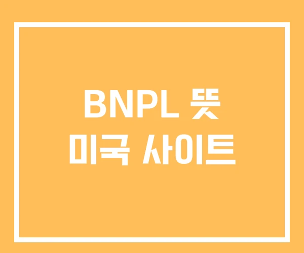 BNPL 뜻 미국 사이트