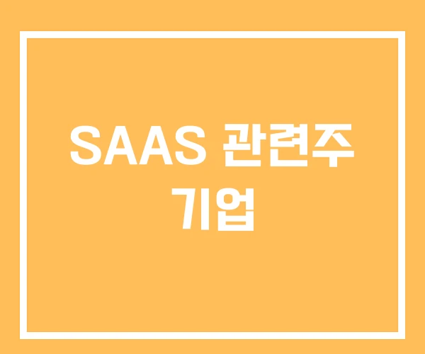 SAAS 관련주 기업