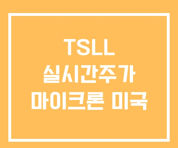 TSLL 실시간주가 마이크론 미국
