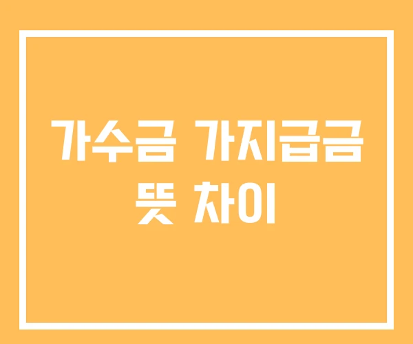 가수금 가지급금 뜻 차이