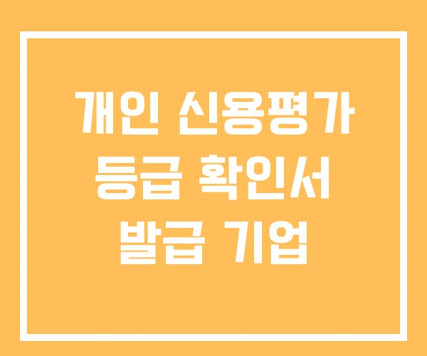 개인 신용평가 등급 확인서 발급 기업