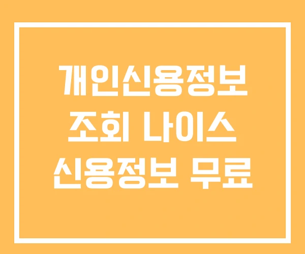 개인신용정보 조회 나이스 신용정보 무료