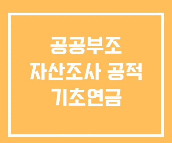 공공부조 자산조사 공적 기초연금