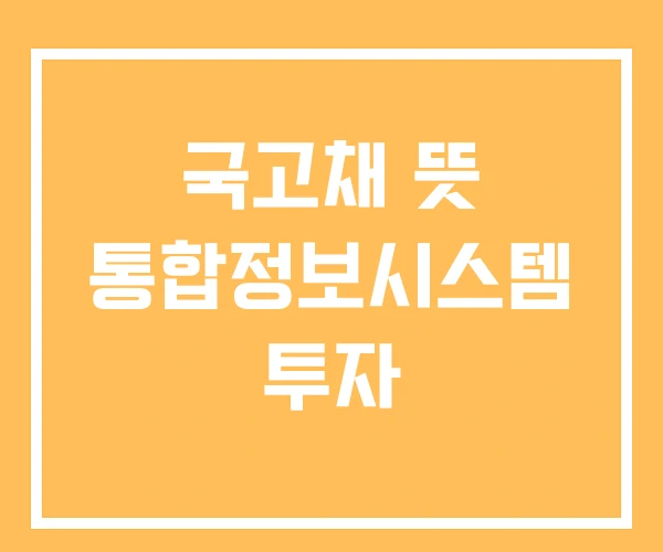 국고채 뜻 통합정보시스템 투자