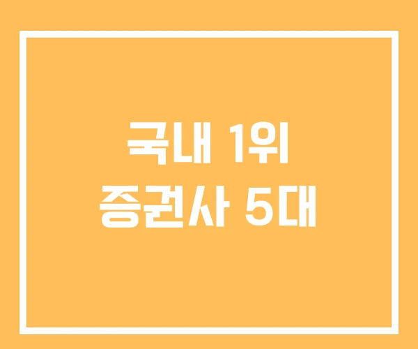 국내 1위 증권사 5대