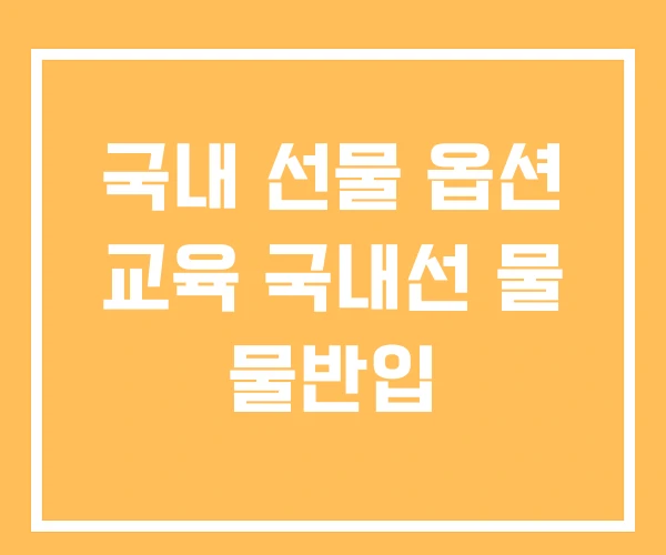 국내 선물 옵션 교육 국내선 물 물반입