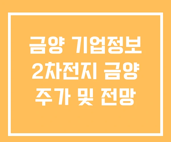 금양 기업정보 2차전지 금양 주가 및 전망