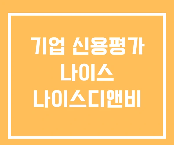 기업 신용평가 나이스 나이스디앤비