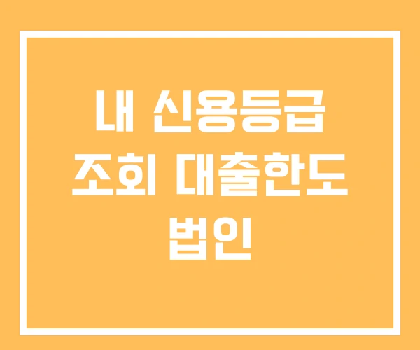 내 신용등급 조회 대출한도 법인