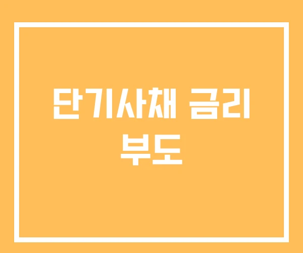 단기사채 금리 부도 단기사채 금리 부도