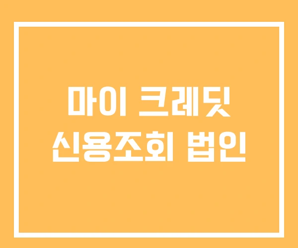 마이 크레딧 신용조회 법인 마이 크레딧 신용조회 법인