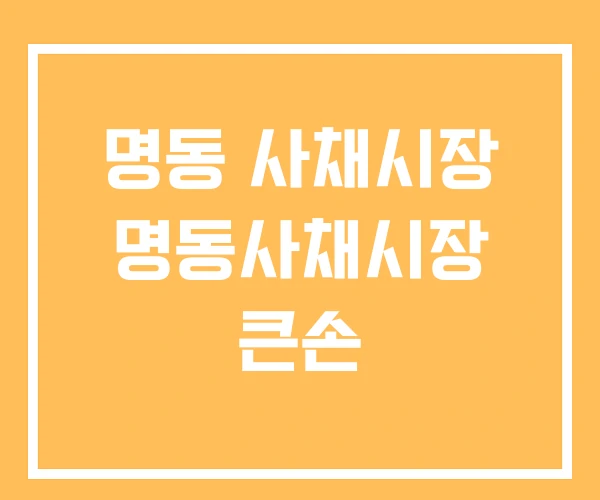 명동 사채시장 명동사채시장 큰손 명동 사채시장 명동사채시장 큰손