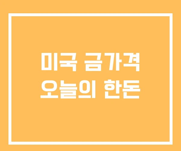 미국 금가격 오늘의 한돈