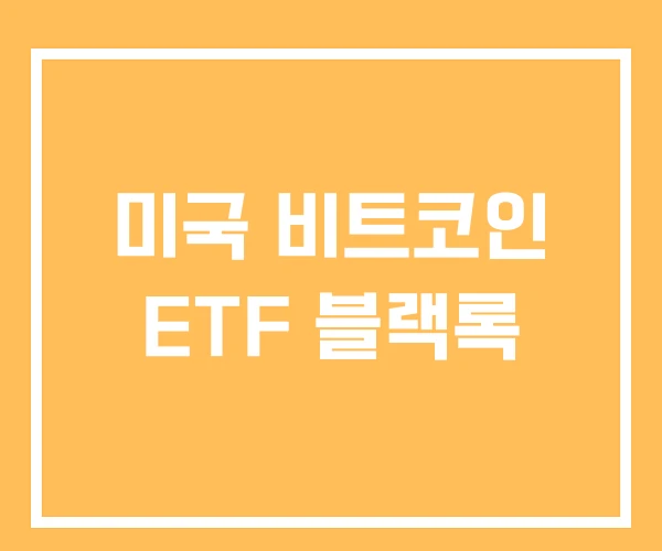 미국 비트코인 ETF 블랙록 미국 비트코인 ETF 블랙록