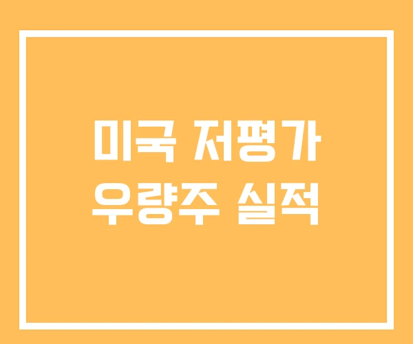 미국 저평가 우량주 실적