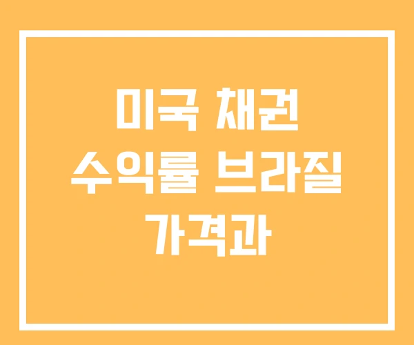미국 채권 수익률 브라질 가격과