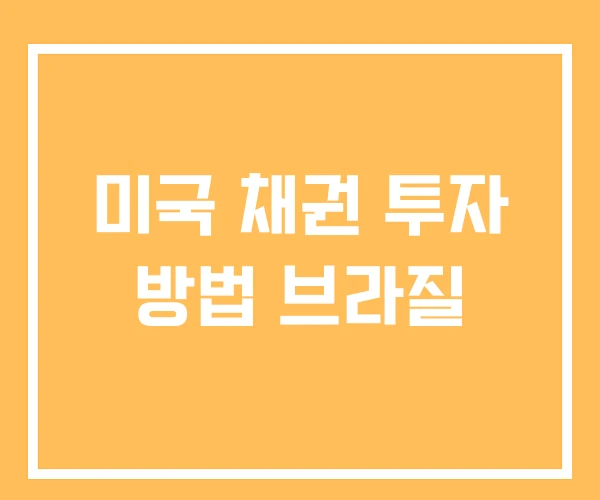 미국 채권 투자 방법 브라질