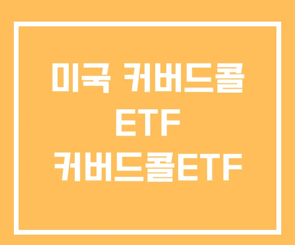 미국 커버드콜 ETF 커버드콜ETF