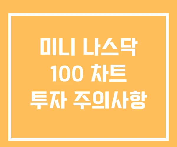 미니 나스닥 100 차트 투자 주의사항