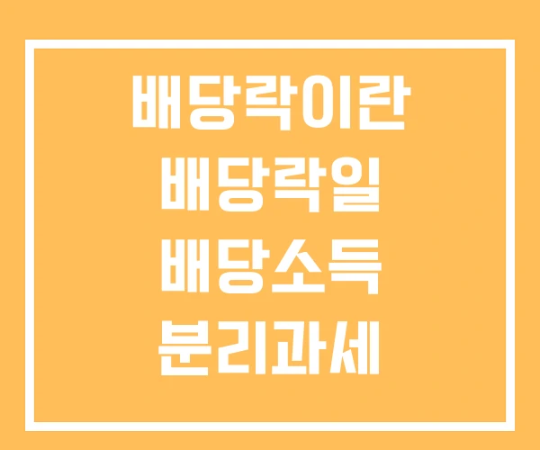 배당락이란 배당락일 배당소득 분리과세