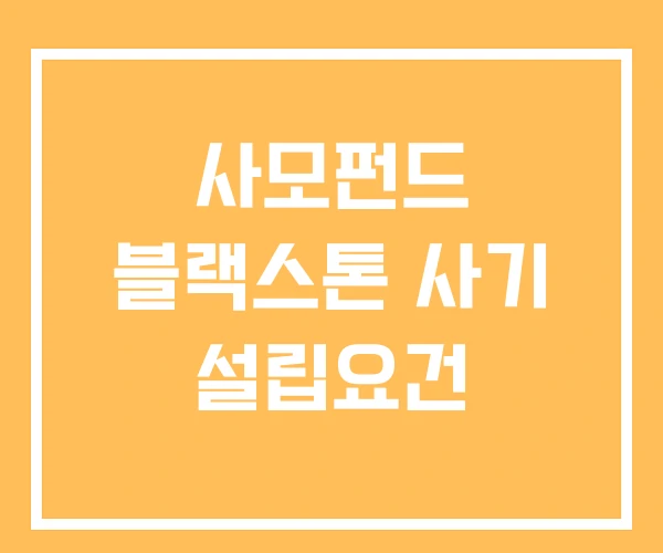 사모펀드 블랙스톤 사기 설립요건