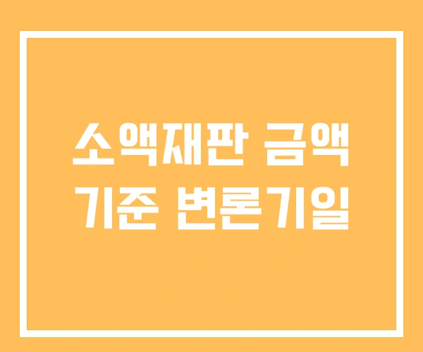 소액재판 금액 기준 변론기일 소액재판 금액 기준 변론기일