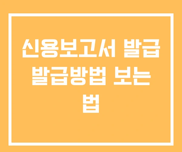 신용보고서 발급 발급방법 보는 법