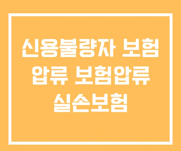 신용불량자 보험 압류 보험압류 실손보험 신용불량자 보험 압류 보험압류 실손보험