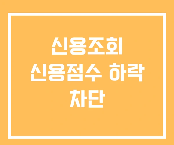신용조회 신용점수 하락 차단 신용조회 신용점수 하락 차단