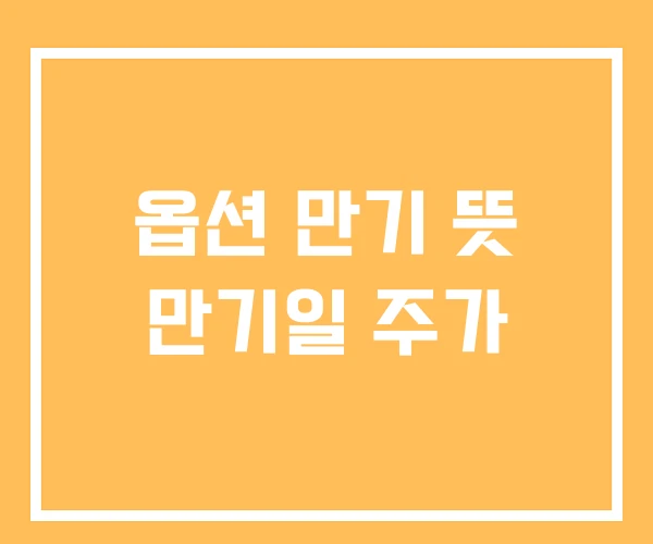 옵션 만기 뜻 만기일 주가 옵션 만기 뜻 만기일 주가