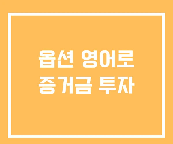옵션 영어로 증거금 투자 옵션 영어로 증거금 투자