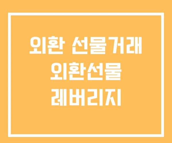 외환 선물거래 외환선물 레버리지