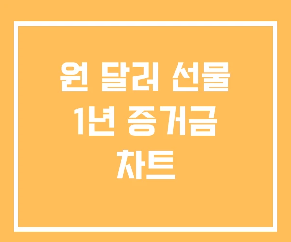 원 달러 선물 1년 증거금 차트