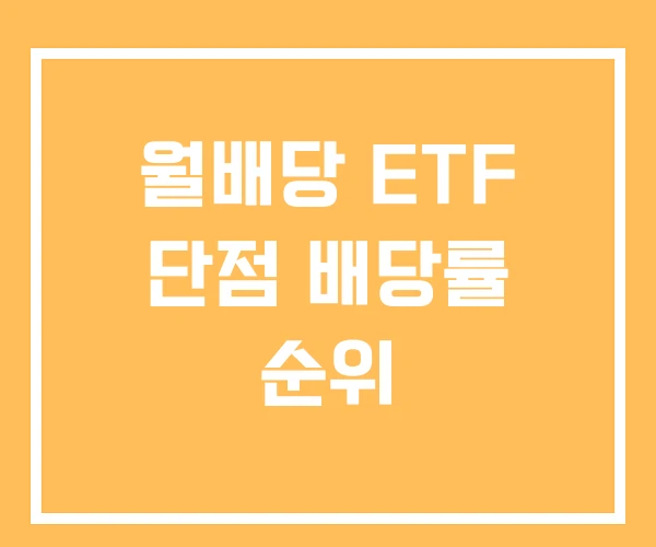월배당 ETF 단점 배당률 순위