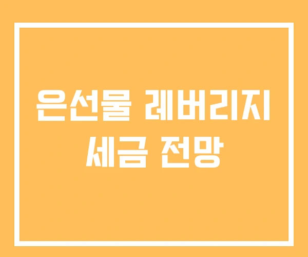 은선물 레버리지 세금 전망