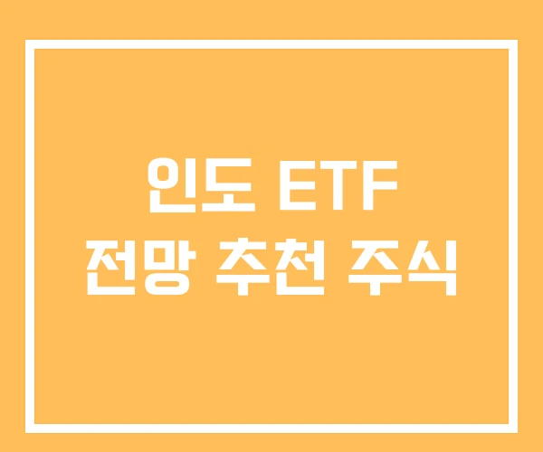 인도 ETF 전망 추천 주식