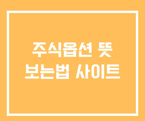 주식옵션 뜻 보는법 사이트