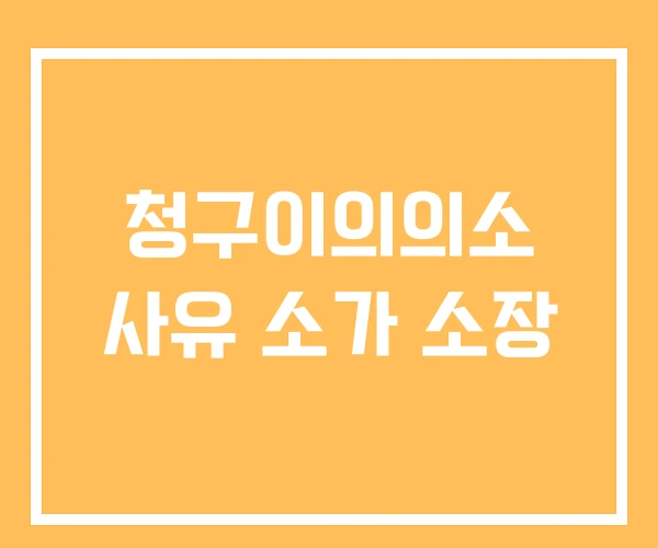 청구이의의소 사유 소가 소장