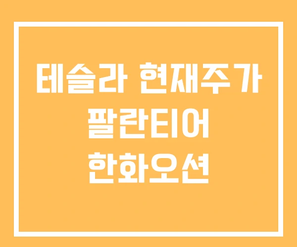 테슬라 현재주가 팔란티어 한화오션