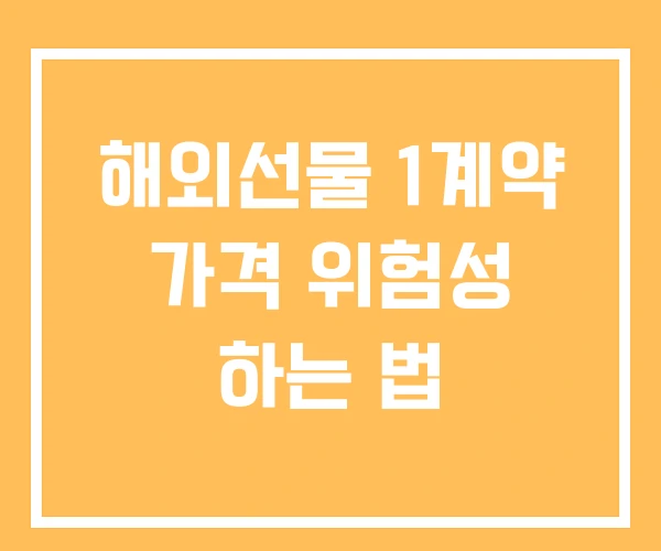 해외선물 1계약 가격 위험성 하는 법