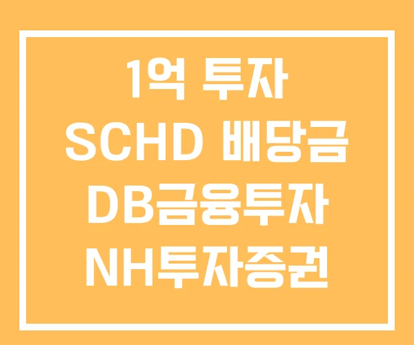 1억 투자 SCHD 배당금 DB금융투자 NH투자증권