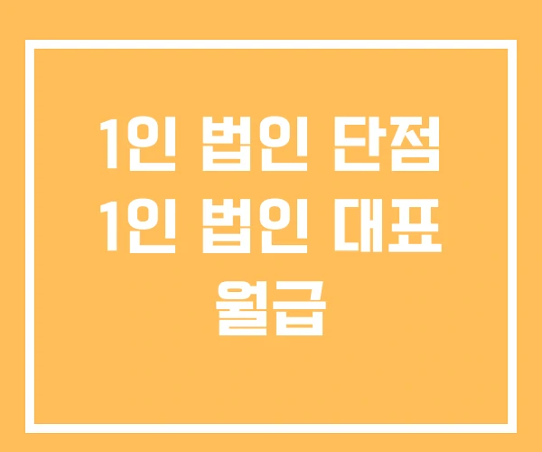 1인 법인 단점 1인 법인 대표 월급